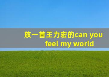 放一首王力宏的can you feel my world